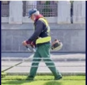 Landscaping team at work